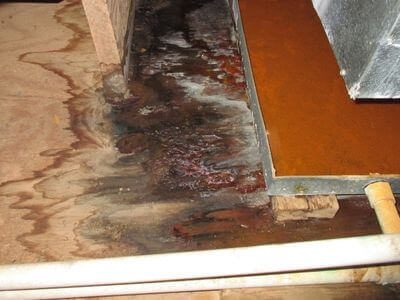 About Water Restoration Fix - water damage restoration experts in Paradise Valley, AZ
