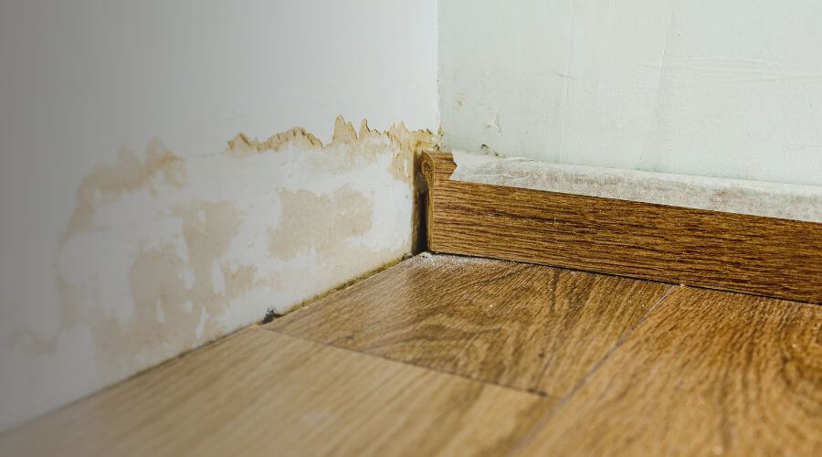 Why choose Water Restoration Fix for water damage restoration in Paradise Valley, AZ